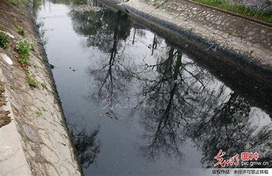 農(nóng)村生活污水納污坑塘整治方案