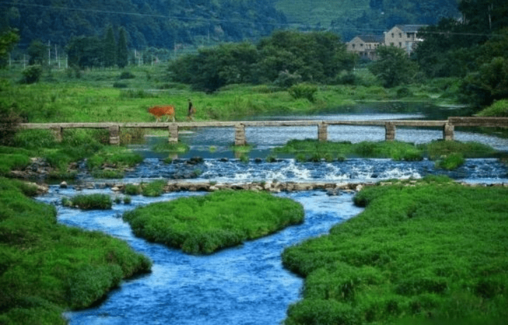 環(huán)境應(yīng)急案編制要點(diǎn)？企業(yè)未按應(yīng)急預(yù)案要求設(shè)置事故應(yīng)急池會(huì)如何處罰 ？